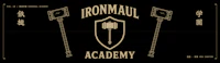 the logo for ironman academy