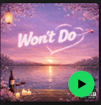 the cover of won't do by lil wayne